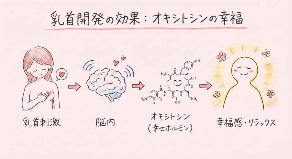 自分へのご褒美に！乳首開発グッズ初心者におすすめな厳選5選