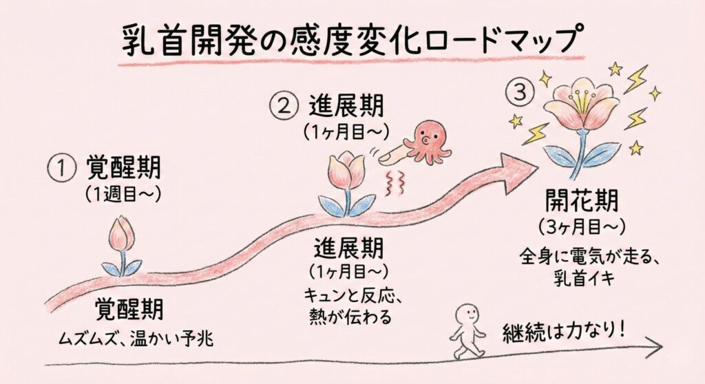 自分へのご褒美に！乳首開発グッズ初心者におすすめな厳選5選